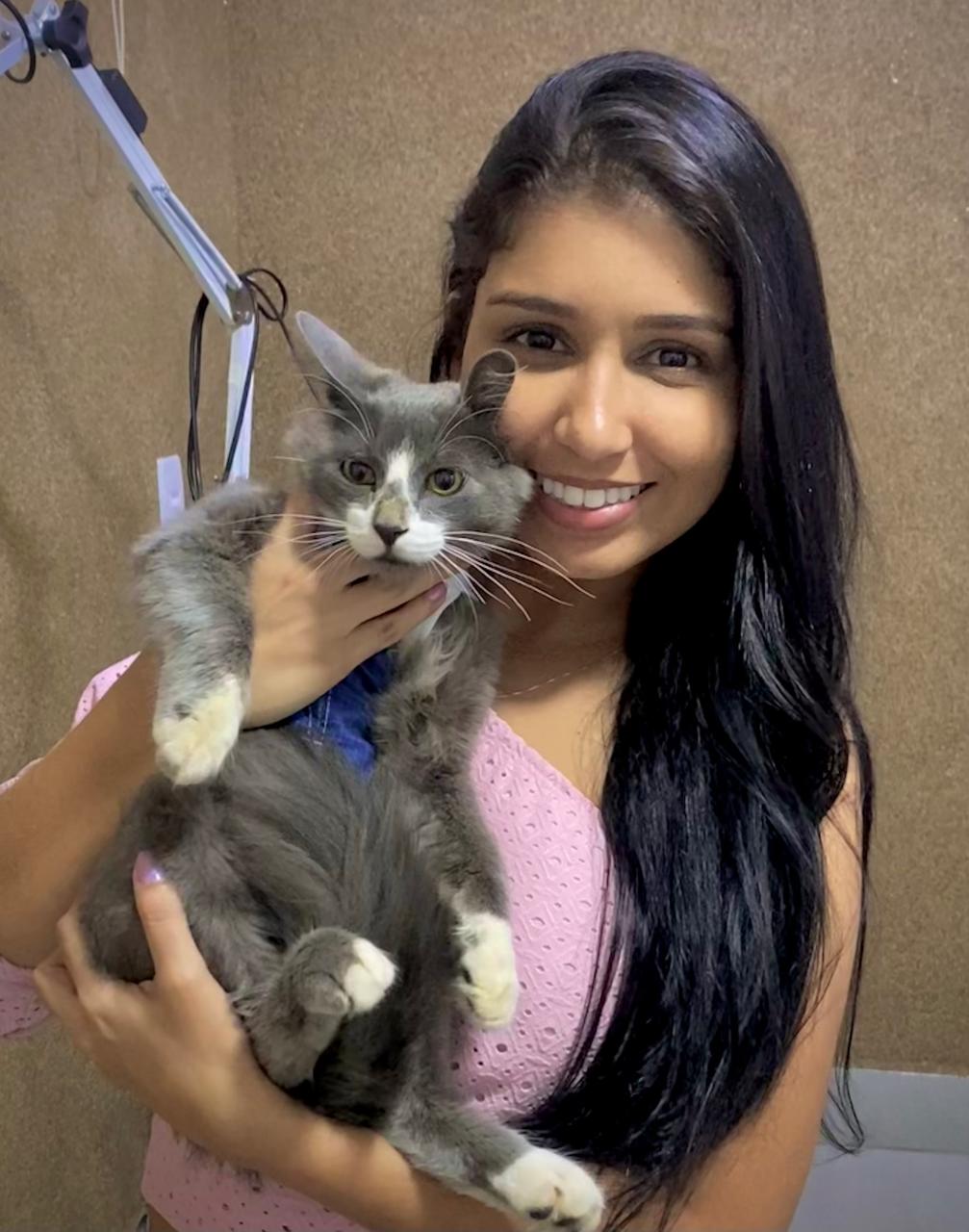 Gatos: Sinais de Doença que Você Precisa Conhecer
