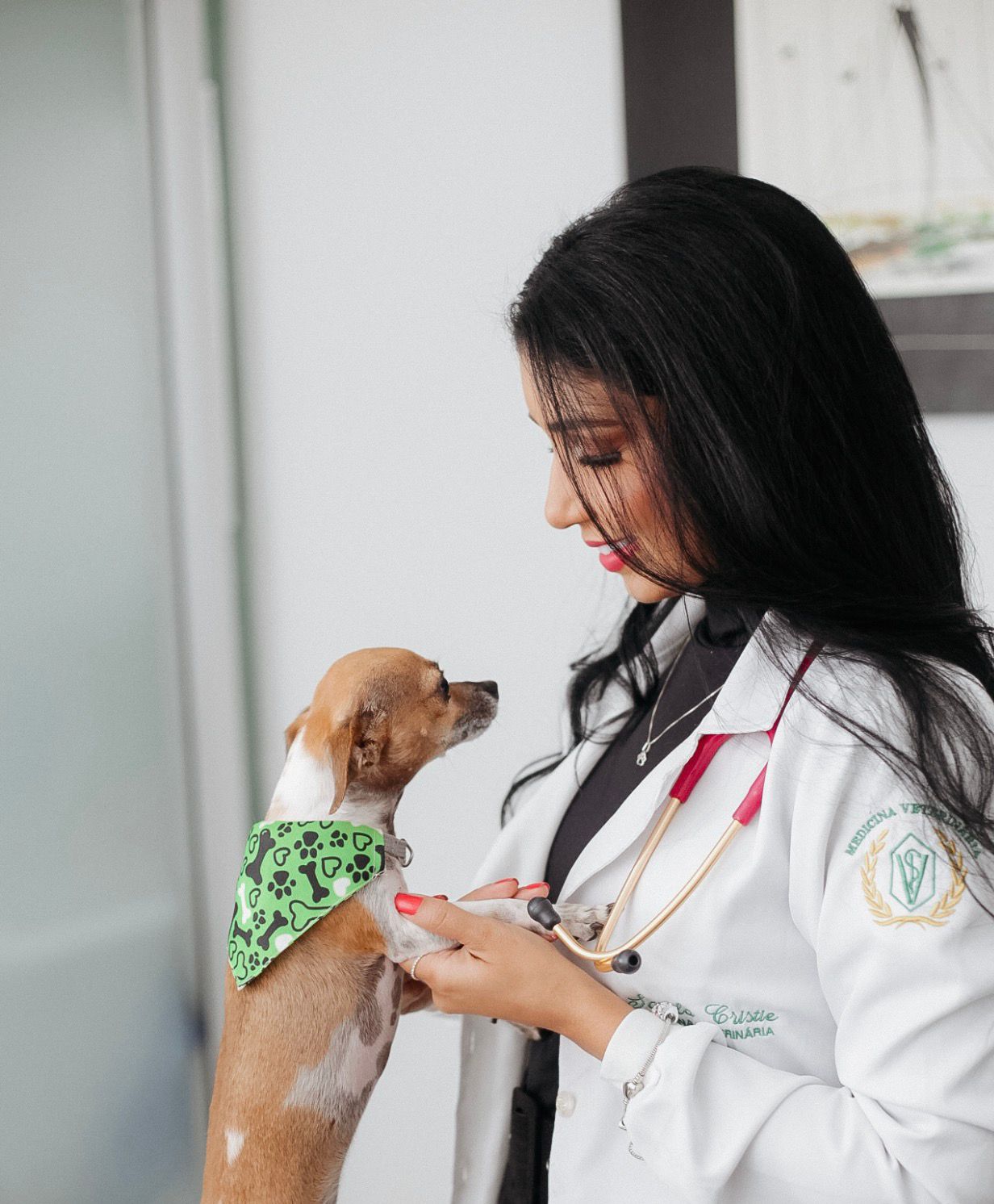 Consulta para Cães